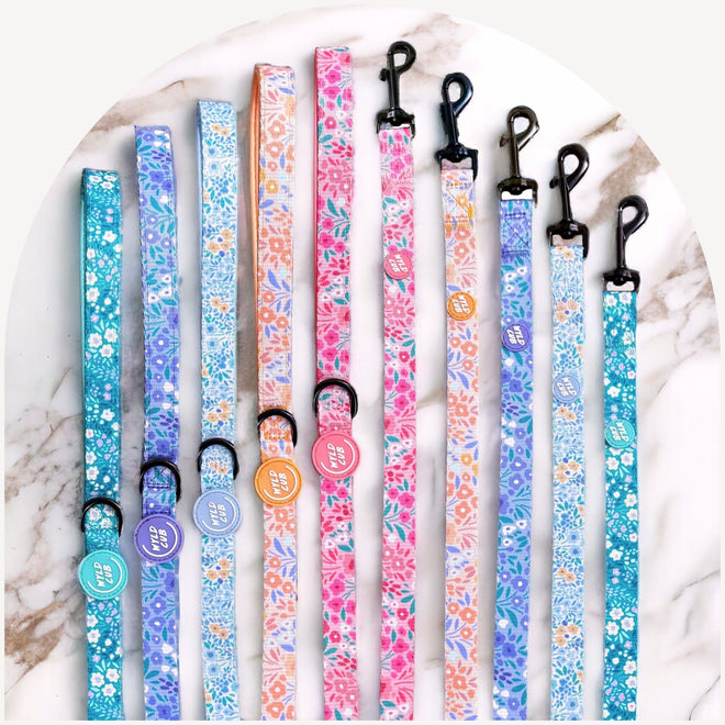 5ft Dog Leads