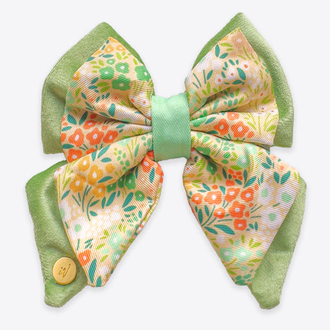 Dog Butterfly Bow Tie: Notting Hill Lemongrass