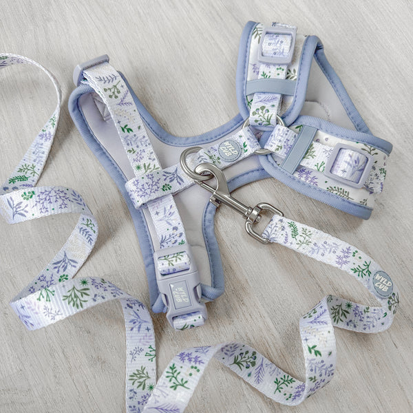 Adjustable Dog Harness: Chiswick Thistle