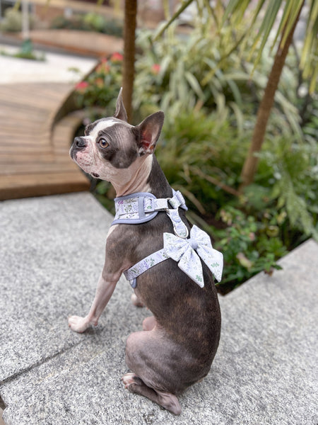 Adjustable Dog Harness: Chiswick Thistle