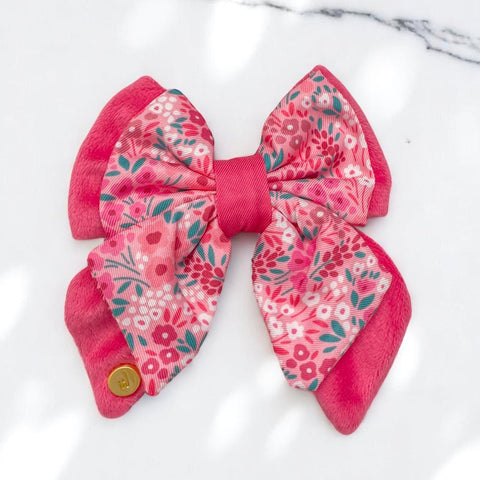 Dog Butterfly Bow Tie: Notting Hill Rosé